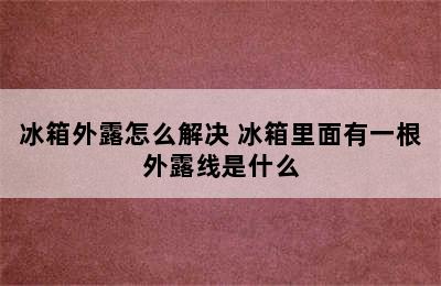 冰箱外露怎么解决 冰箱里面有一根外露线是什么